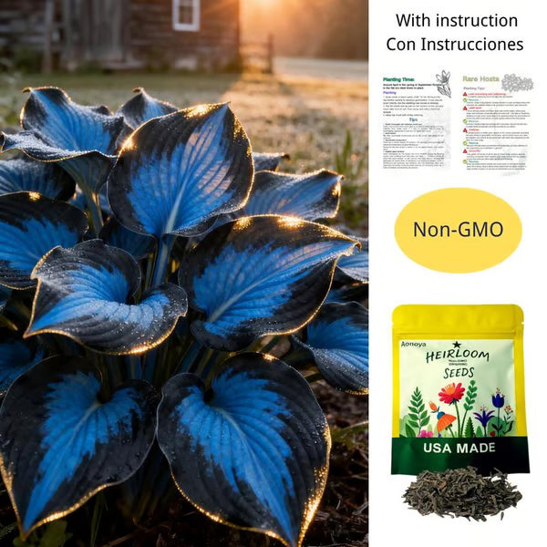🌟Spring & Winter Growing🍃Premium Rare Hosta Seeds🌿Perfect For Cut Flowers【98% Germination Rate】💐