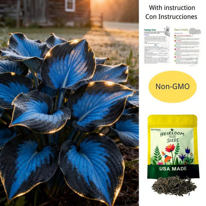 🌟Spring & Winter Growing🍃Premium Rare Hosta Seeds🌿Perfect For Cut Flowers【98% Germination Rate】💐