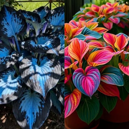 🌟Spring & Winter Growing🍃Premium Rare Hosta Seeds🌿Perfect For Cut Flowers【98% Germination Rate】💐