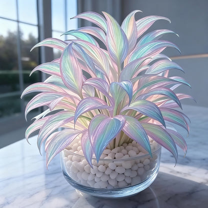 Rainbow Haze Plant Seeds