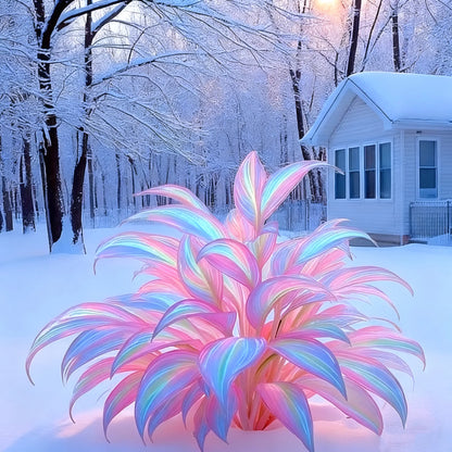 Rainbow Haze Plant Seeds