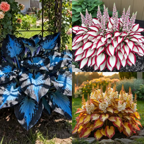 🌟Spring & Winter Growing🍃Premium Rare Hosta Seeds🌿Perfect For Cut Flowers【98% Germination Rate】💐