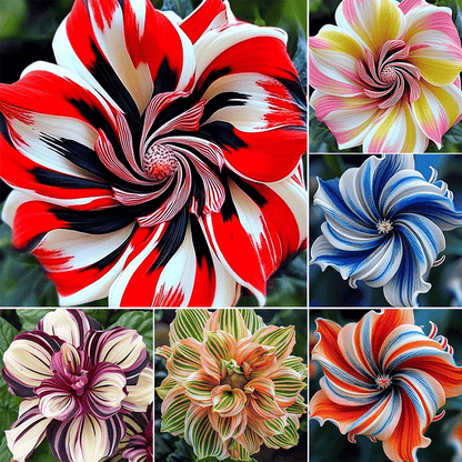 🏆Flash Sale⚡50K+ SOLD!🔥 Rare Double Hibiscus Seeds🌺